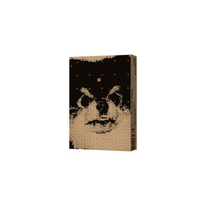 V (BTS) ALBUM - [Layover] (Weverse Album)
