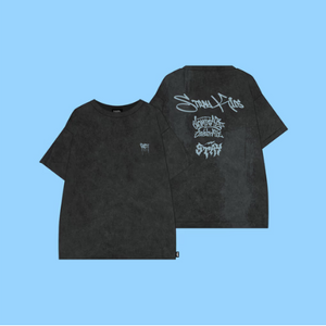 STRAY KIDS DOMINATE CELEBRATE MD - [T-SHIRT] - EVE PINK K-POP