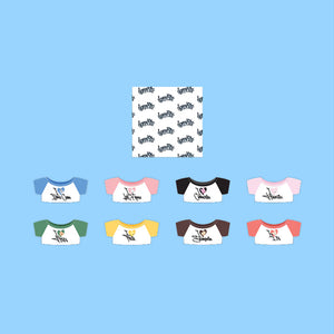 STRAY KIDS DOMINATE CELEBRATE MD - [SKZOO STANDING PLUSH OUTFIT] - EVE PINK K-POP