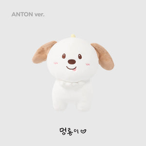 RIIZE (라이즈) RIIZING DAY FINALE 2ND MD - [40CM DOLL]