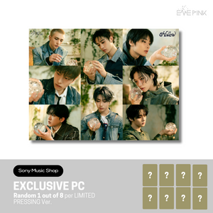 STRAY KIDS (스트레이키즈) JAPAN ALBUM - [Hollow] (+Sony Music Shop Photocard)