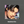 NCT DREAM (엔시티 드림) 3RD ALBUM - [ISTJ] (Poster Ver.)