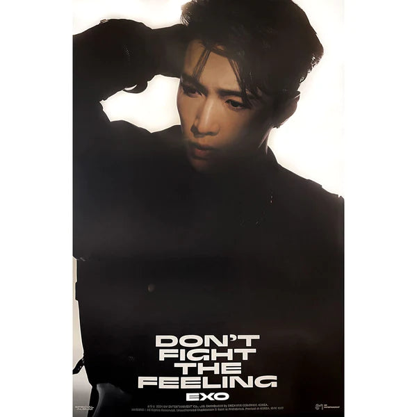 EXO - DON'T FIGHT THE FEELING (JEWEL CASE VER) OFFICIAL POSTER - LAY