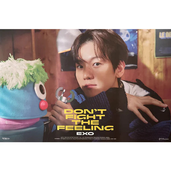 EXO - DON'T FIGHT THE FEELING (EXPANSION VER) OFFICIAL POSTER - BAEKHYUN