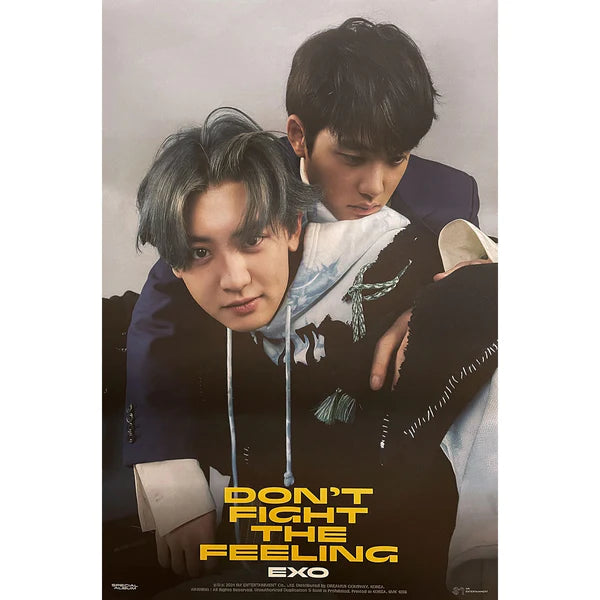 EXO - DON'T FIGHT THE FEELING (EXPANSION VER) OFFICIAL POSTER - UNIT DO & CHANYEOL