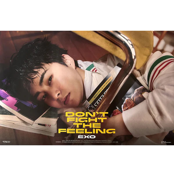 EXO - DON'T FIGHT THE FEELING (EXPANSION VER) OFFICIAL POSTER - XIUMIN