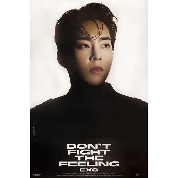 EXO - DON'T FIGHT THE FEELING (JEWEL CASE VER) OFFICIAL POSTER - XIUMIN