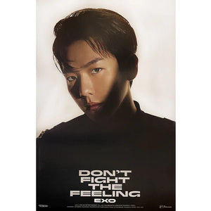 EXO - DON'T FIGHT THE FEELING (JEWEL CASE VER) OFFICIAL POSTER - BAEKHYUN