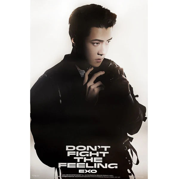 EXO - DON'T FIGHT THE FEELING (JEWEL CASE VER) OFFICIAL POSTER - SEHUN