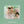 NCT WISH (엔시티 위시) 1st Album - [Ode to Love] (Jewel Case Ver. + EXCLUSIVE PHOTOCARD) - EVE PINK K-POP