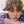 NCT WISH JAPANESE ALBUM - [WISH] (LIMITED EDITION)