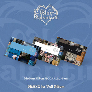 NMIXX (엔믹스) 1st Full Album - [Blue Valentine] (Platform Album POCAALBUM Ver.)