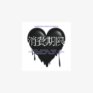 SEVENTEEN (세븐틴) 4TH SINGLE JAPAN ALBUM - [Shohi Kigen]