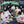ZEROBASEONE (제로베이스원) 1st Full Album - [NEVER SAY NEVER] (DIGIPACK Ver.) - EVE PINK K-POP