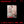 TAEYONG (태용) 1st Album - [WYLD] (Zine Ver.) - EVE PINK K-POP