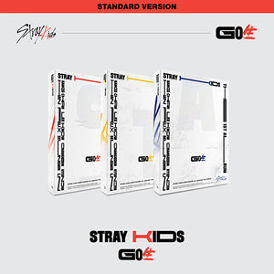 STRAY KIDS (스트레이 키즈) 1ST ALBUM - [GO LIVE] (STANDARD VER
