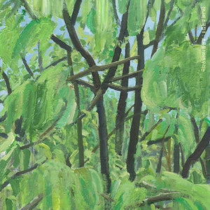 JANNABI (잔나비) ALBUM - [잔나비 소곡집 ll : 초록을거머쥔우리는]