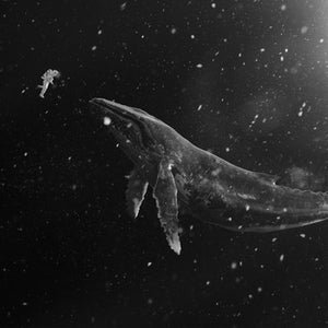 EXO (엑소) WINTER SPECIAL ALBUM - [SING FOR YOU] (KOREAN VER.)