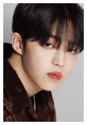 SEVENTEEN (D'FESTA) DISPATCH 10th ANNIVERSARY