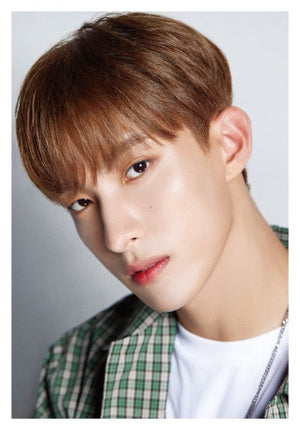 SEVENTEEN (D'FESTA) DISPATCH 10th ANNIVERSARY