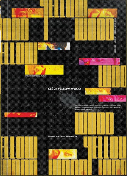 STRAY KIDS - 1ST SPECIAL ALBUM - [CLE2 : YELLOW WOOD] – K Pop Pink Store  [Website]