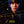 ENHYPEN (엔하이픈) JAPANESE ALBUM - [DIMENSION : SENKO] (SOLO JACKET EDITION)