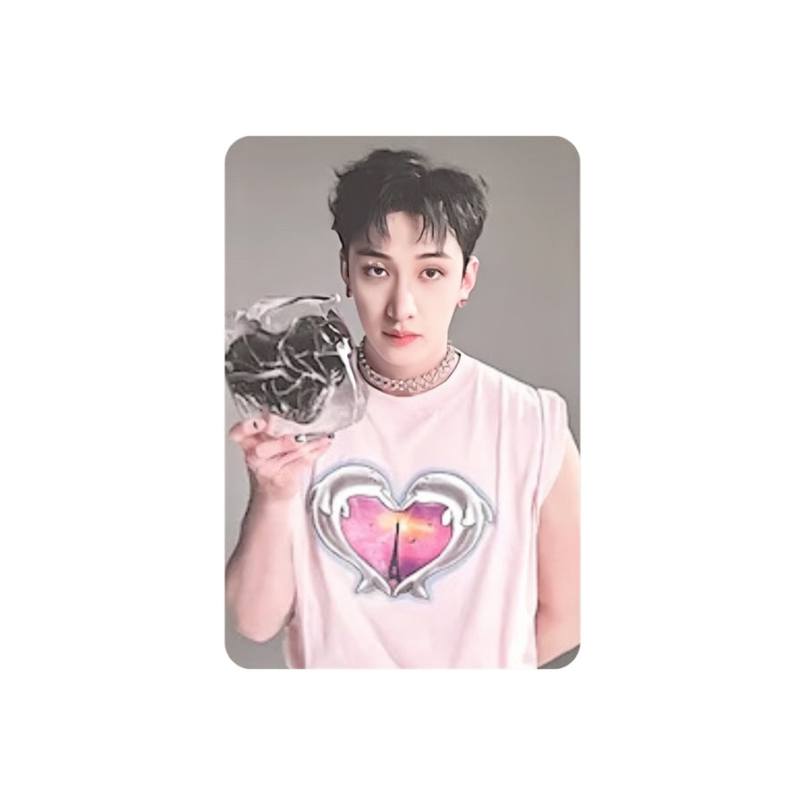 STRAY KIDS (스트레이키즈) MINI ALBUM - [MAXIDENT] (CASE ver : OPENED ALBUM)