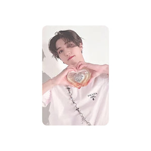 STRAY KIDS (스트레이키즈) MINI ALBUM - [MAXIDENT] (CASE ver : OPENED ALBUM)