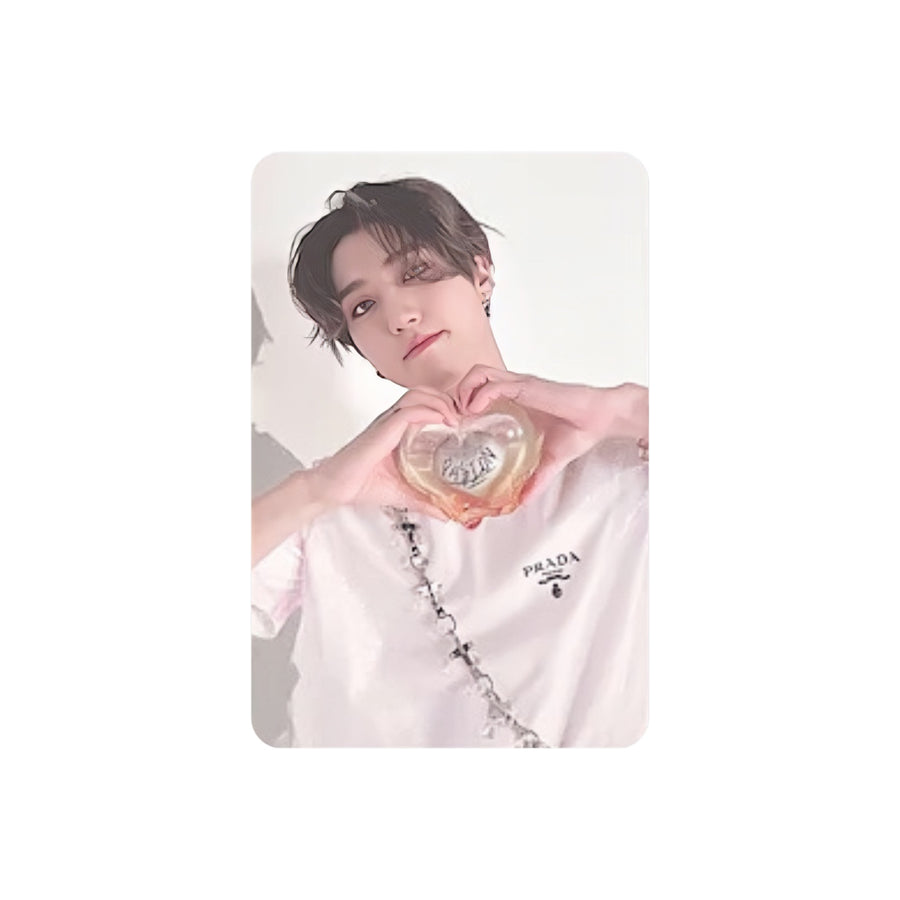STRAY KIDS (스트레이키즈) MINI ALBUM - [MAXIDENT] (CASE ver : OPENED ALBUM)