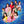 LOONA (이달의 소녀) JAPANESE ALBUM - [HULA HOOP / STARSEED] REGULAR VERSION