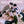 TXT JAPANESE MINI ALBUM - [GOOD BOY GONE BAD] (LIMITED VER.)