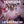 LE SSERAFIM JAPAN ALBUM - [FEARLESS]