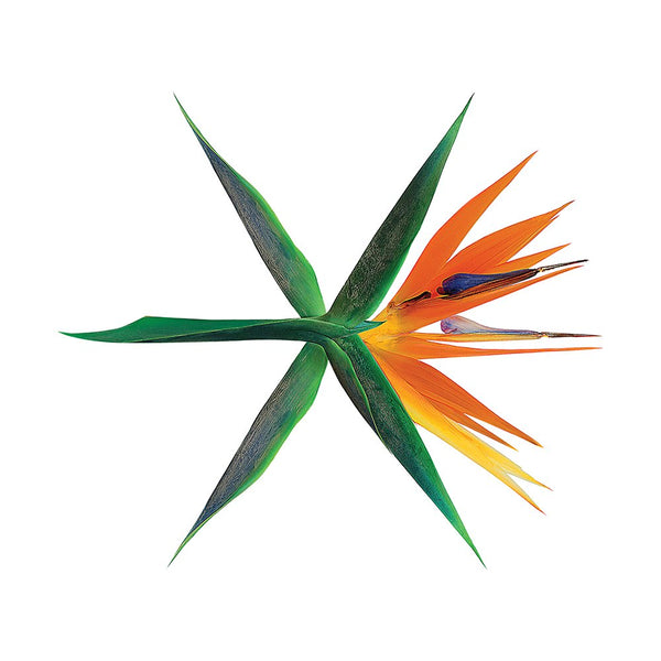 EXO (엑소) 4TH ALBUM - [THE WAR] (KOREAN VER.)
