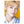 ENHYPEN (D'FESTA) DISPATCH 10th ANNIVERSARY